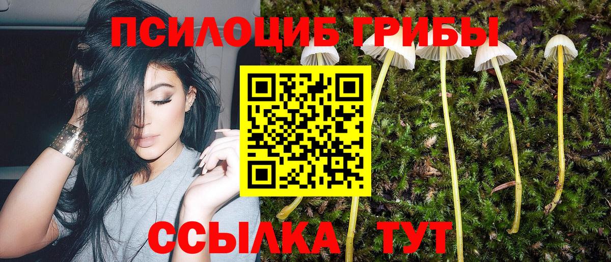 Галлюциногенные грибы Magic Shrooms  где найти наркотики  Урюпинск  Вход с VPN 