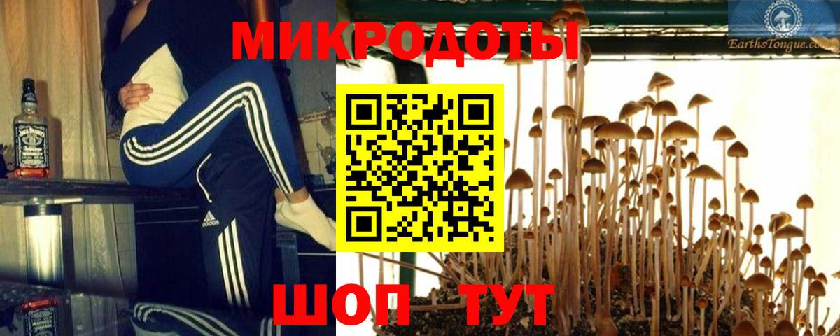 Галлюциногенные грибы Psilocybe Урюпинск